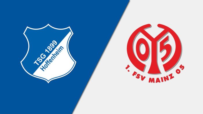 Hoffenheim-Mainz, pronostico del match di Bundesliga