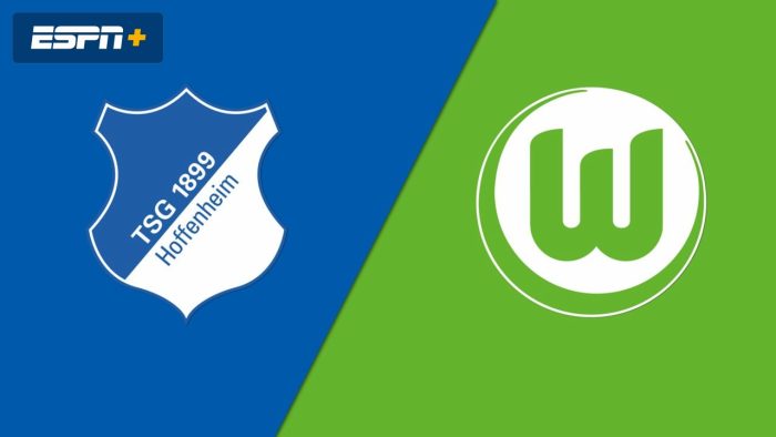 Hoffenheim-Wolfsburg pronostico del match di Bundesliga