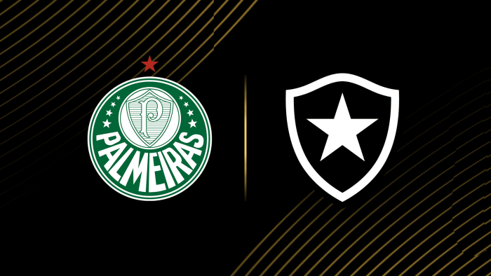 Palmeiras Botafogo