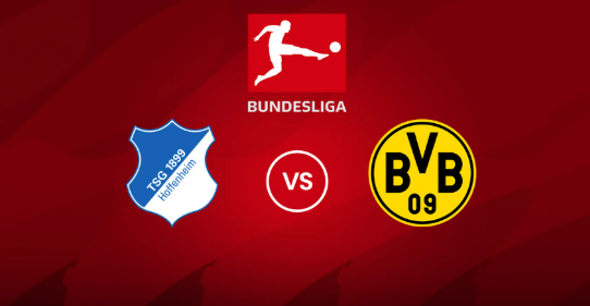 hoffenheim-dortmund